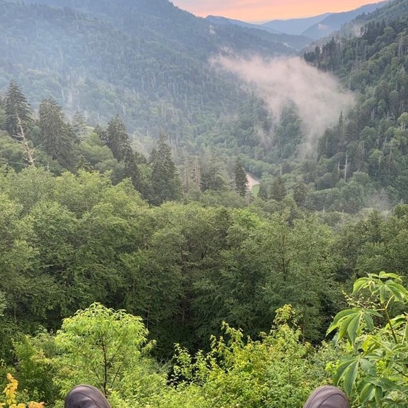 Meet your Posher, Lola - Picture 1 of 1